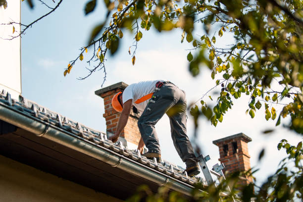 Best Roof Leak Repair  in Galesburg, MI